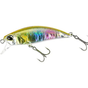 TETRA WORKS TOTO 48HS