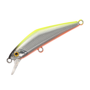 DｰCOMPACT 38 11 CHART HAKU