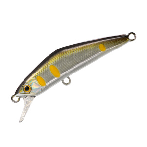 DｰCOMPACT 38 08 AYU HAKU