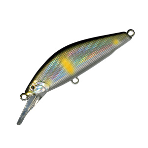 DｰCONCEPT 48MD #07 AYU LASER